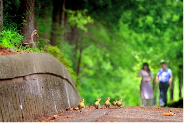 사진 분야 대상 수상작 ‘엄마 내려와 (김택수)’[이미지 한국환경공단]