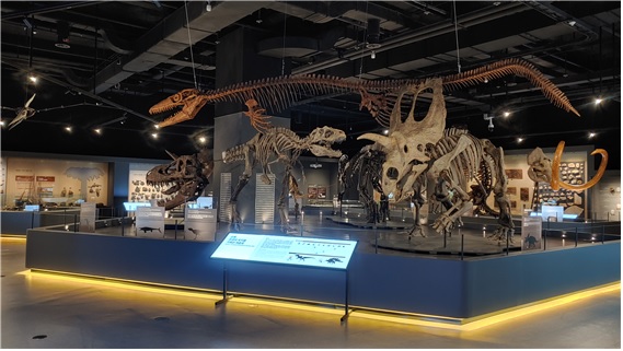 ‘생명의 진화관’ 전경[이미지 국립대구과학관]