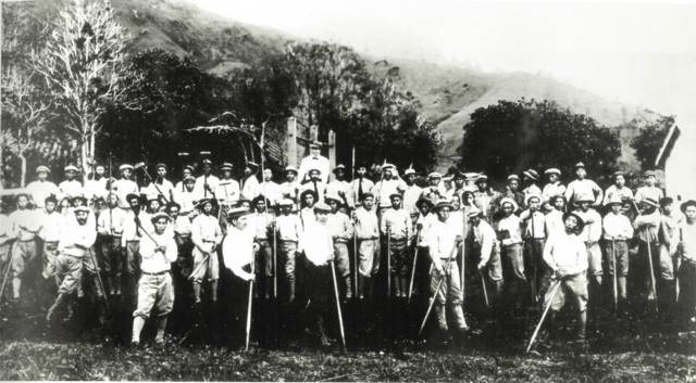 하와이 파인애플농장(1914년경)  [사진 국가보훈처]