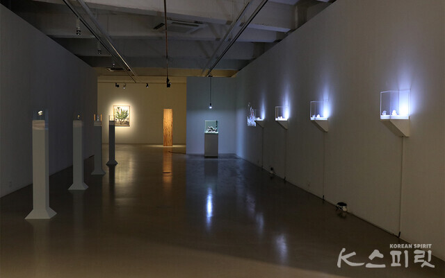 Baton Gallery, Hannam-dong, Yongsan-gu, realizará Faint Afterglow, uma exposição coletiva com 9 artistas nacionais e estrangeiros, até 18 de fevereiro. [사진 김경아 기자]