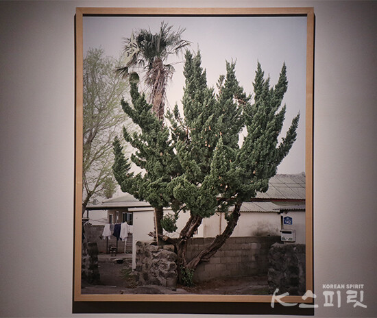 Oksun Kim, Untitled_Wolpyung142 (2013), c-print, 100x80cm, edição 10 + 2AP [사진 김경아 기자]