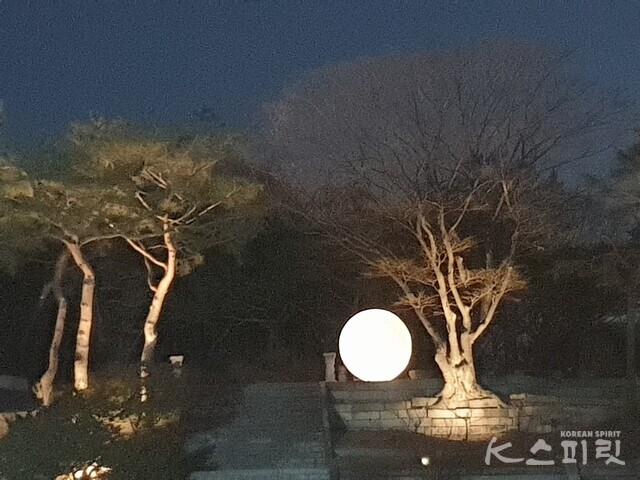 보름달이 둥실 내려온 창경궁의 밤.  사진 강나리 기자.