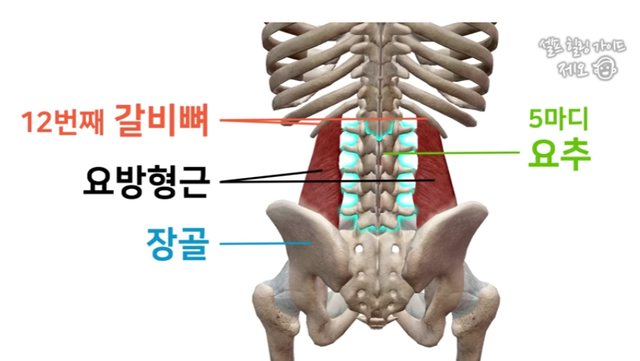 갑작스런 허리통증에 ‘흔들흔들’ 가벼운 운동과 호흡으로