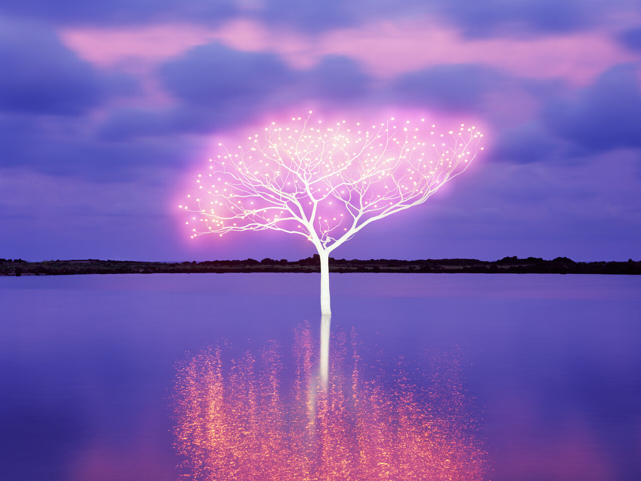 이정록, Tree of life 5-4-1, 100호, 2013. 사진 갤러리데이지