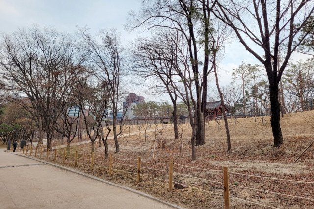 서울그린트러스트가 시민들과 함께 가꿀 율곡로 창경궁 권역 일대. 사진 서울그린트러스트