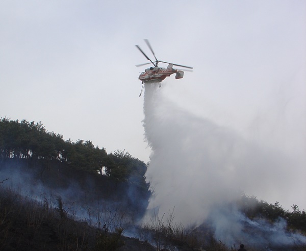 산불 진화를 위해 물을 투하하는 대형헬기. 사진 산림청