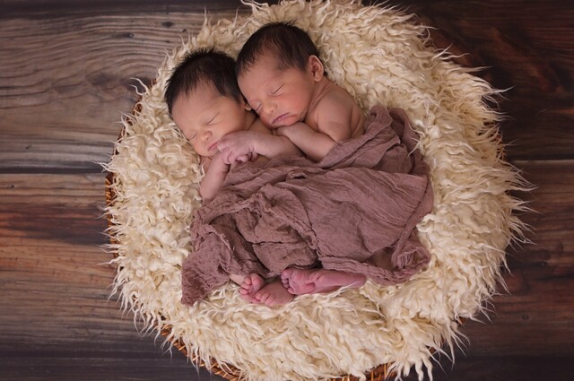 일란성 쌍둥이도 기질과 특성이 서로 다른 경우가 있다. 사진 Pixabay 이미지.