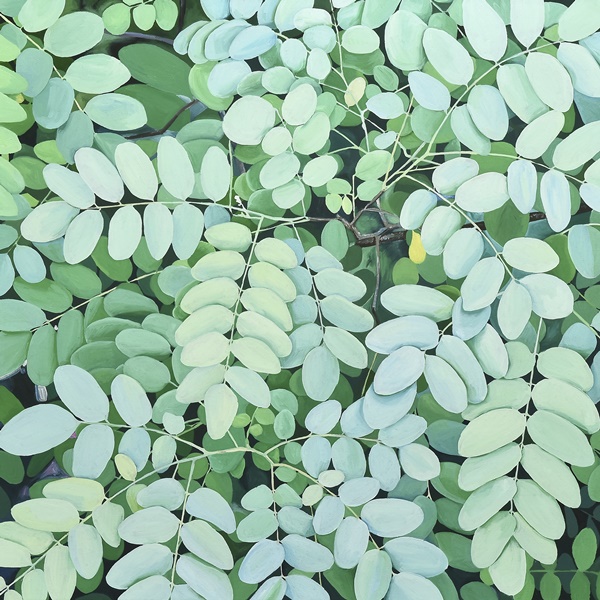 김재현, 아카시아38, oil on canvas, 53×53cm, 2023. 사진 갤러리그림손