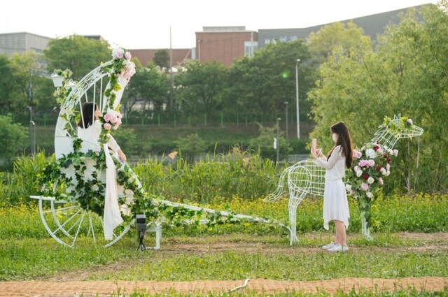 서울장미축제는 5월 13일부터 28일까지 중랑천 둔치 중랑장미공원에서 진행된다. 사진 축제 공식홈페이지.
