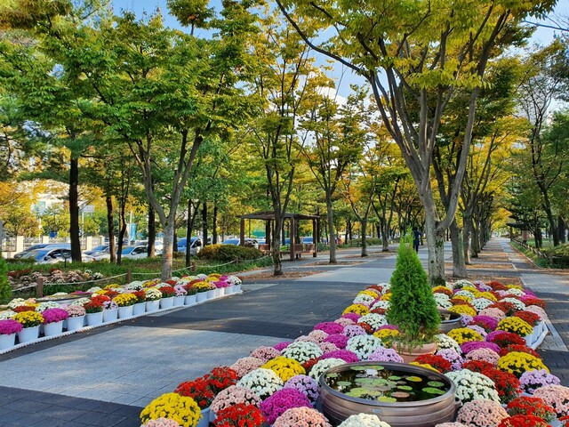 대전 보라매공원길[이미지 산림청]