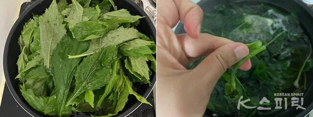 취나물 데치기. 사진 백연지 시민기자.
