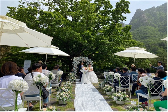 설악산 국립공원 숲 속 결혼식[이미지 설악산국립공원사무소]