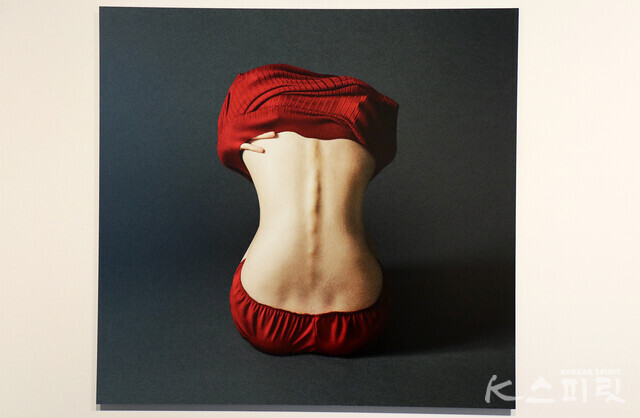 Bokunoririkkunobouyomi, 'Fruits Decaying', 2017 [사진 김경아 기자]