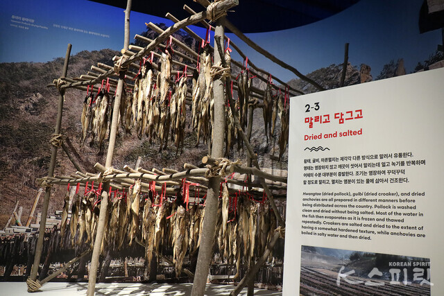 국립민속박물관은 8월 15일까지 기획전시실에서 ‘조명치 해양문화특별전’을 개최한다 [사진 김경아 기자]