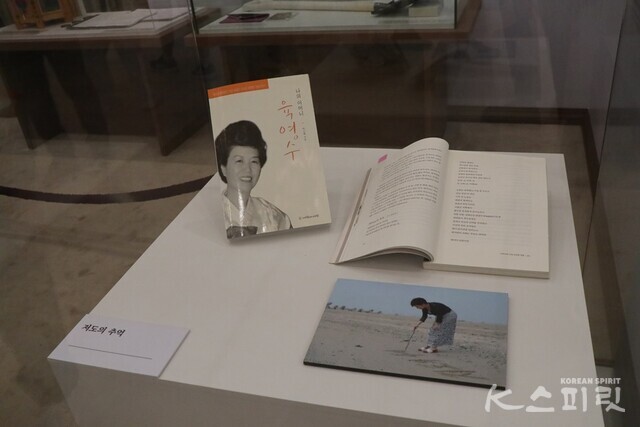 박근혜 대통령의 상징 소품은 '저도의 추억'. 사진 강나리 기자.
