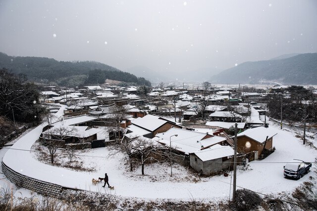 우수상(일반) '눈 오는 날의 산책'(김창국 작). 사진 농림축산검역본부