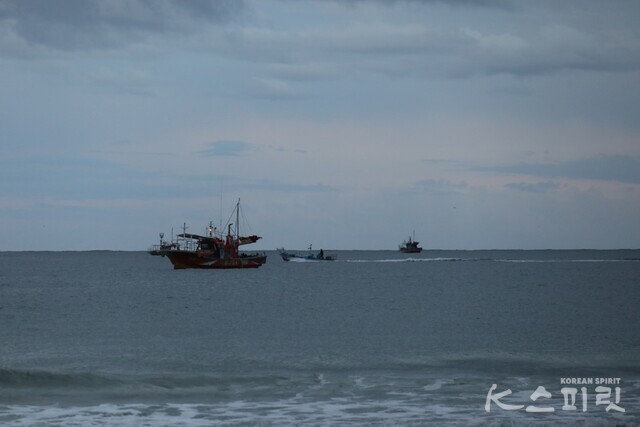 한밤 출어나갔던 어선들의 귀항. 사진 강나리 기자.