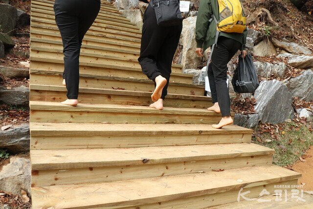 황토길을 지나 나무계단을 오르는 맨발걷기 축제 참가자. 사진 강나리 기자.