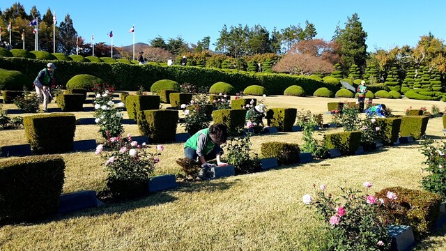 지구시민연합 부산지부 회원과 자원봉사자들이 지난 11월 4일(토) 유엔기념공원에서 묘비를 닦고 있다. 사진 지구시민연합 부산지부