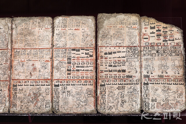 '드레스덴 문서', 마야, 900-1492년경, 작센주립도서관 소장, 복제품 [사진 김경아 기자]