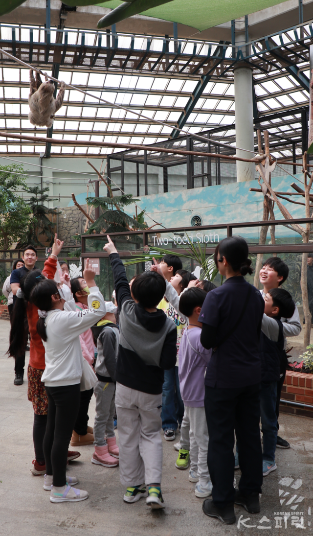서울대공원은 오는 26일까지 매주 금요일 초등학교 3~6학년 대상 '사육사와 함께 떠나는 따뜻한 남미여행' 체험 프로그램을 진행한다. 사진 서울대공원.