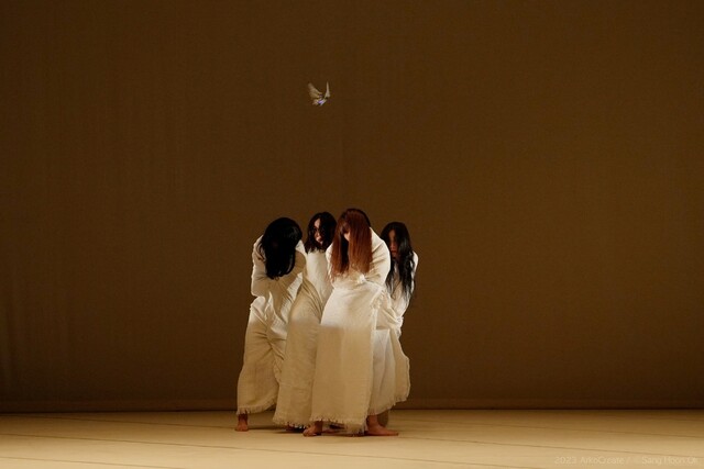 정훈목 안무가의 창작 현대무용 공연 '야라스(Yaras)'. 이미지 ©주벨기에유럽연합 한국문화원