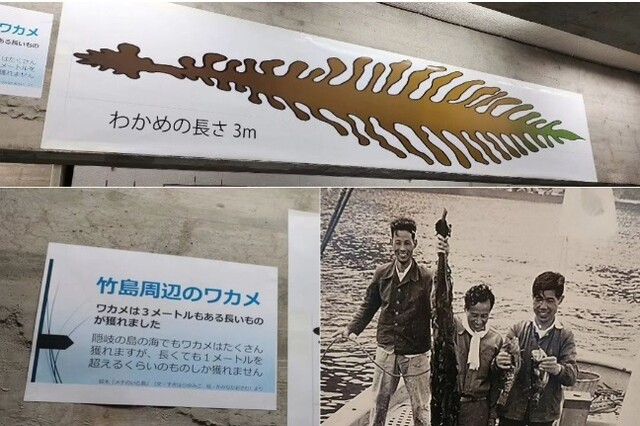 시마네현 '가케시마 자료실' 내 3미터 독도미역 홍보물. 서경덕 교수는 