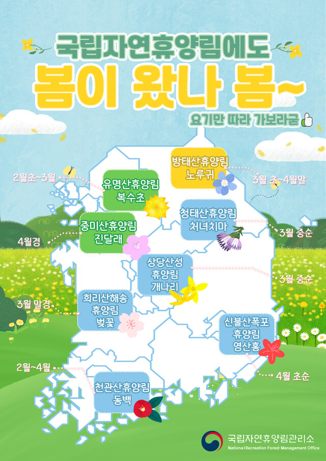 국립자연휴양림 봄꽃 지도. 사진 국립자연휴양림관리소.