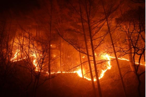 2022년 3월 경북 울진군에서 일어난 산불. 역대 최장기 최대 피해를 입었다. 사진 산림청.