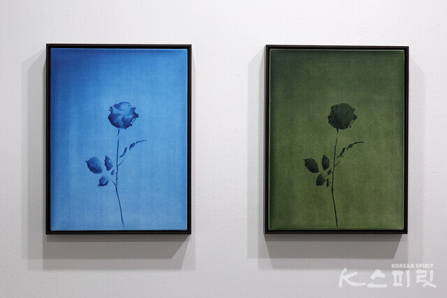 (왼쪽 작품) Untitled, 2020, Acrylic on canvas, 40 x 30 cm (Framed 42 x 32 cm) (오른쪽 작품) Untitled, 2020, Acrylic on canvas, 40 x 30 cm (Framed 42 x 32 cm) [사진 김경아 기자]