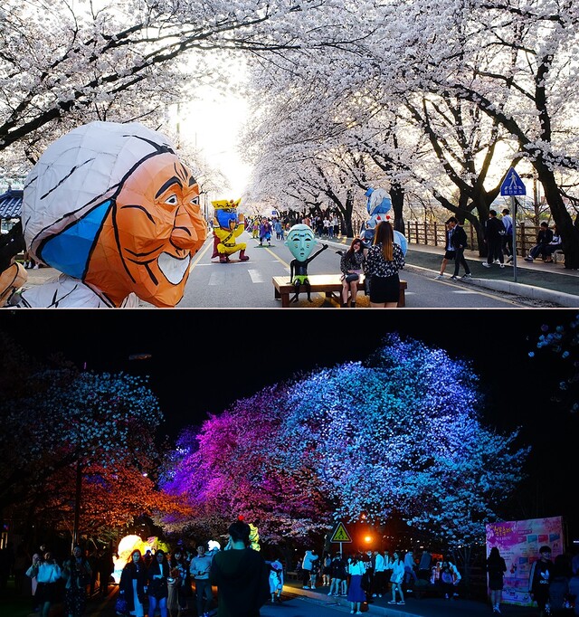 안동벚꽃축제가 3월 27일부터 31일 열린다. 사진 축제 공식누리집 갈무리.