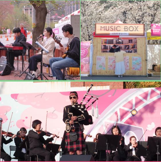 가장 늦게 벚꽃이 피는 경기도 가평 '에덴벚꽃길 벚꽃축제' 프로그램. 사진 축제 공식누리집 갈무리.