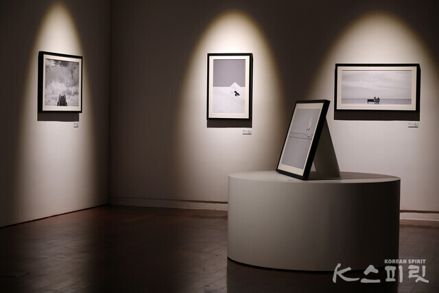 KF갤러리는 《조화: 마르친 리체크 사진전》을 3월 18일(월)부터 5월 24일(금)까지 개최한다 [사진 김경아 기자]