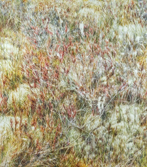 이광호Lee Kwang Ho, Untitled 4479, 2023, oil on canvas, 170x150cm. 이미지 조현화랑