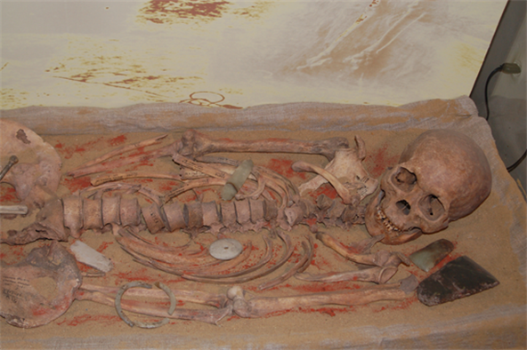 이르쿠츠크박물관에 전시된 인골. 사진 윤명철 교수 제공.