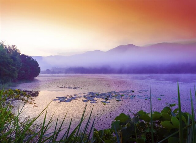 운곡습지 전경. 이미지 환경부.