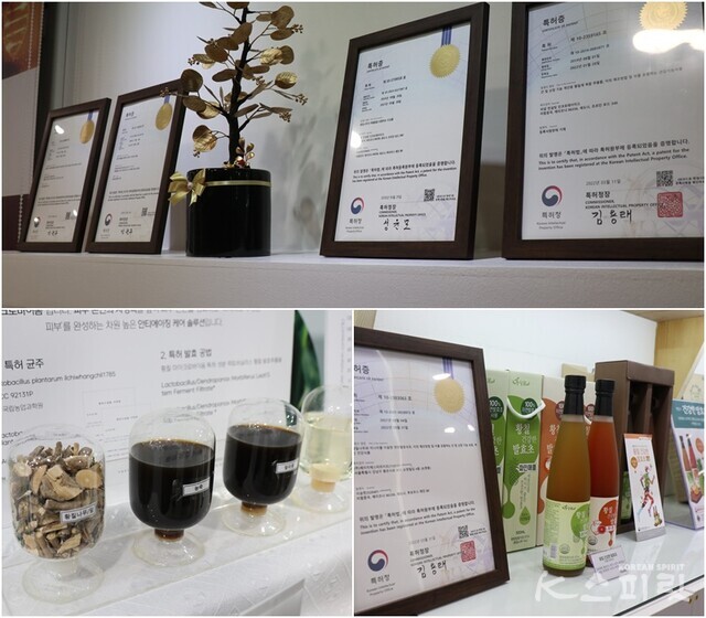 K문화체험관 내 황칠 관련 특허 제품들. 사진 강나리 기자.