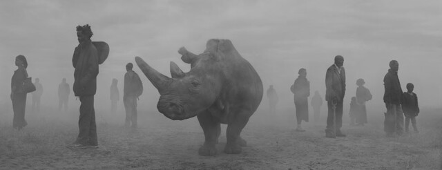 닉 브랜트, The Day May Breake 1, Najin and People in Fog, Kenya, 2020 [사진 제공 갤러리 신당]