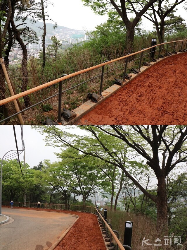 안산 황톳길을 따라 오르면 탁 트인 곳에서 바라보는 경관이 좋다. 사진 강나리 기자.