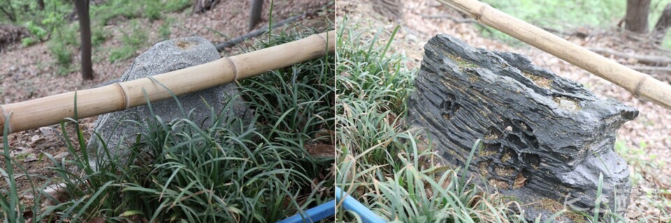 길가에 작은 바위인 듯 놓인 스피커에서 일정 시간 편안한 클래식 음악이 나온다. 사진 강나리 기자.