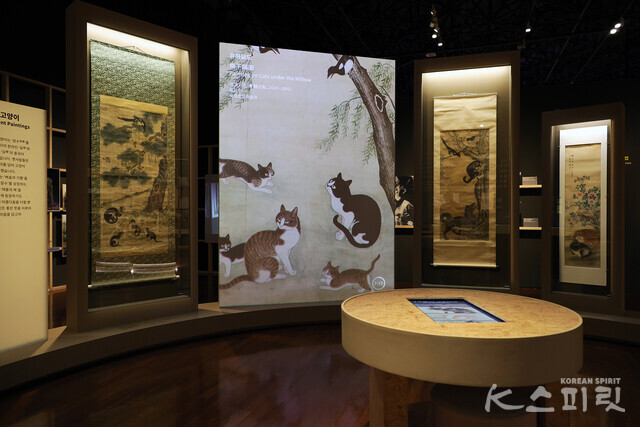 국립민속박물관은 8월 18일(일)까지 기획전시실에서 《요물, 우리를 홀린 고양이》 특별전을 개최한다 [사진 김경아 기자]