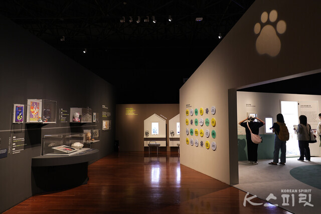 국립민속박물관은 8월 18일(일)까지 기획전시실에서 《요물, 우리를 홀린 고양이》 특별전을 개최한다 [사진 김경아 기자]