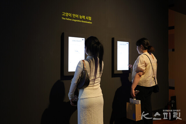 고양이 언어 능력 시험 [사진 김경아 기자]