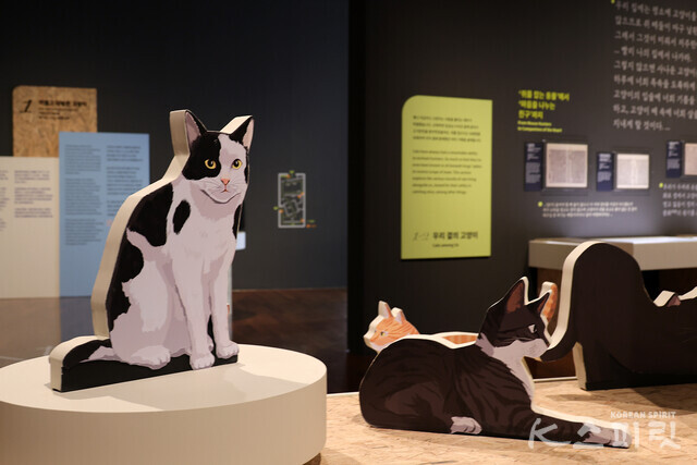 국립민속박물관은 8월 18일(일)까지 기획전시실에서 《요물, 우리를 홀린 고양이》 특별전을 개최한다 [사진 김경아 기자]