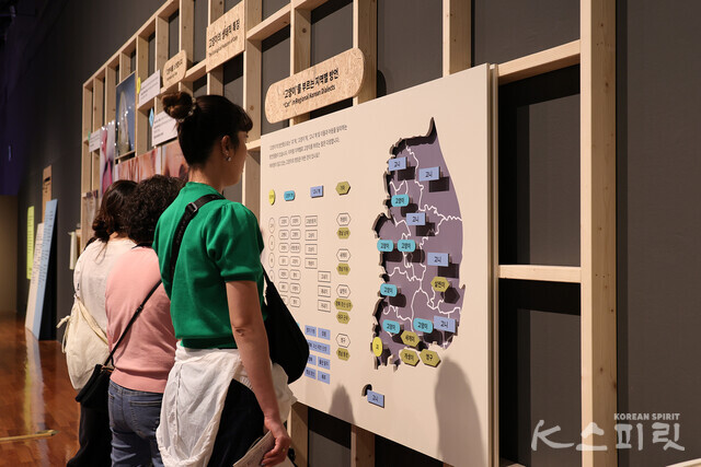 '고양이'를 부르는 지역별 명칭 [사진 김경아 기자]