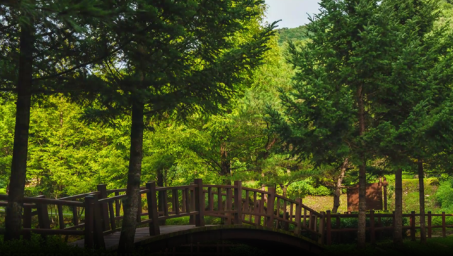 충북 청주 미동산수목원. 사진 공식누리집 갈무리.