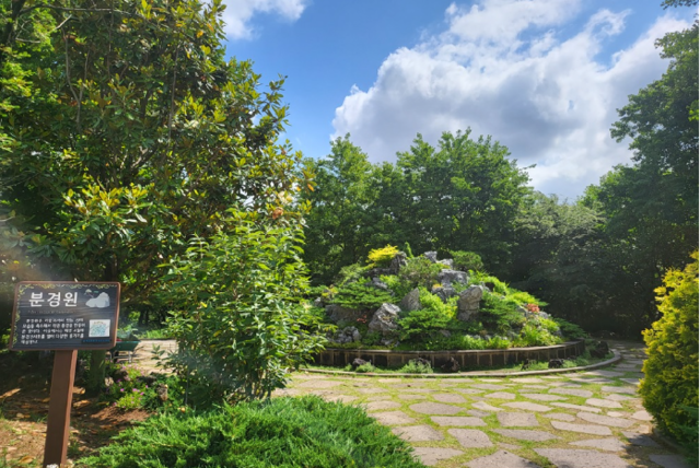 기암괴석이 있는 산의 모습을 축소해 작은 풍경을 만든 한국도로공사전주수목원 내 분경원. 사진 공식누리집 갈무리.