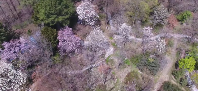 울릉도와 독도의 특산 희귀식물을 보유한 경북 포항 기청산식물원 내 자미원. 사진 공식 누리집 갈무리.