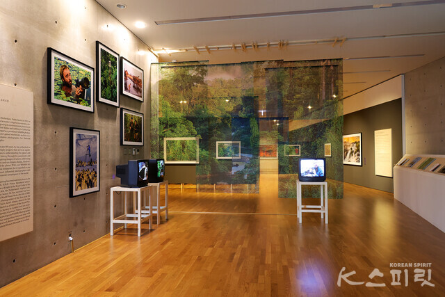 서울 혜화동 JCC 아트센터에서는 5월 16일(목)~7월 31일(수)까지 세계에서 가장 영향력 있는 야생 사진작가 ‘프란스 란팅(Frans Lanting)’의 《프란스 란팅 : 디어 포나》를 개최한다 [사진 김경아 기자]