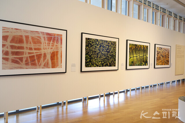 [사진 김경아 기자]